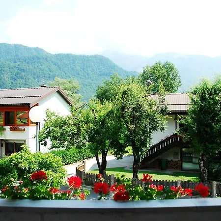Budget Homestay Kobarid